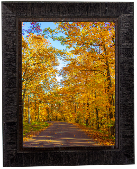 Golden Autumn - Framed Print